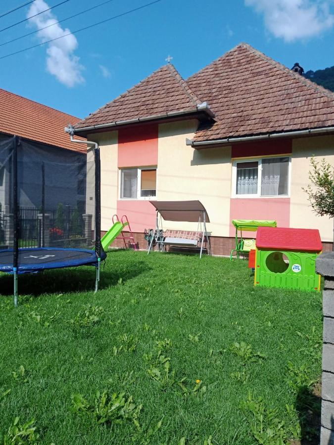 Pensiunea Casa Ioana Sugág Kültér fotó